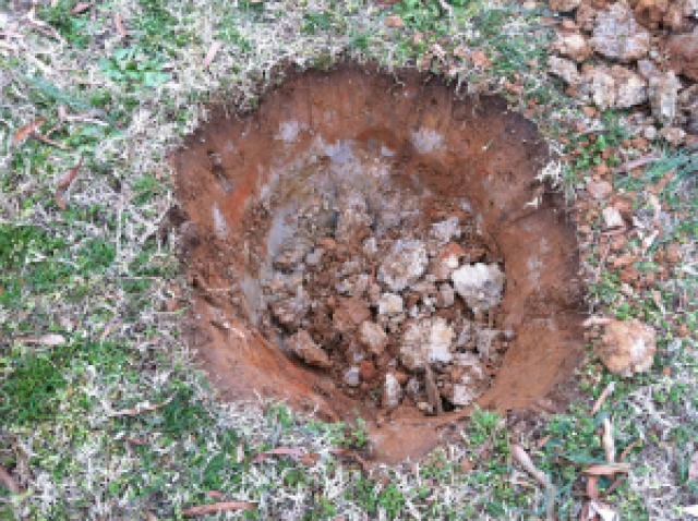 Hole dug for tree in clay soil