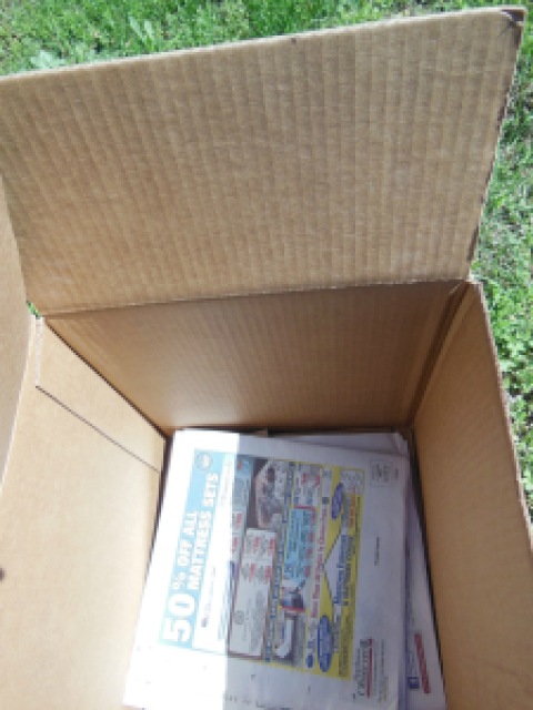 Cardboard and Newspaper for Weed Control