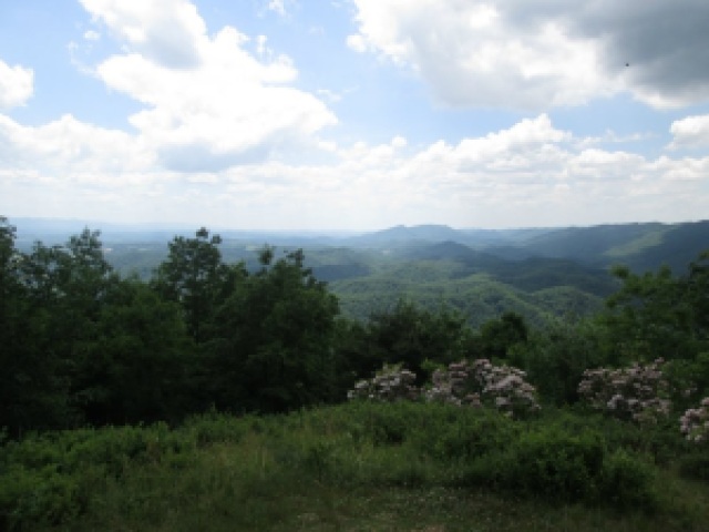 View from Vista of Molly's Knob Hungry Mother State Park, Marion VA
