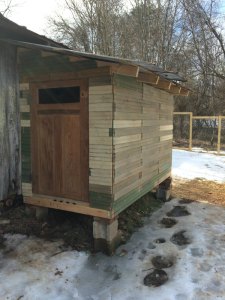 Rustic Chicken Coop Built with Scrap Tongue and Groove and Old Tin for the Roof